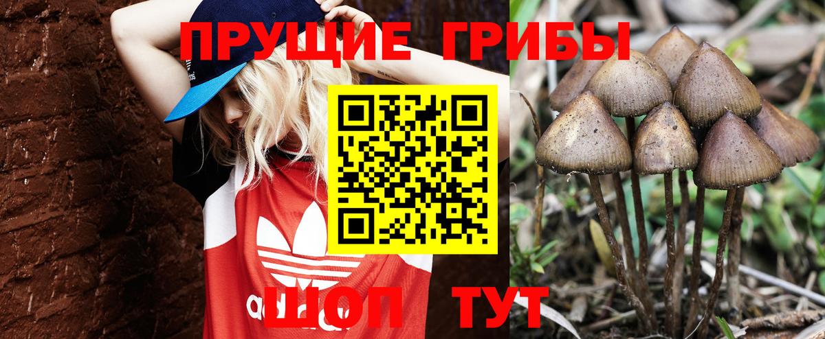 Галлюциногенные грибы мицелий  купить наркоту  Кушва  Вход с VPN 